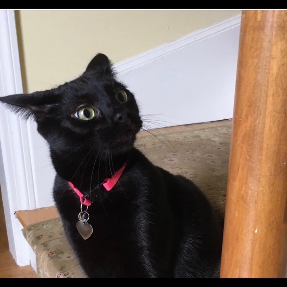 Meet your Posher, Melissa